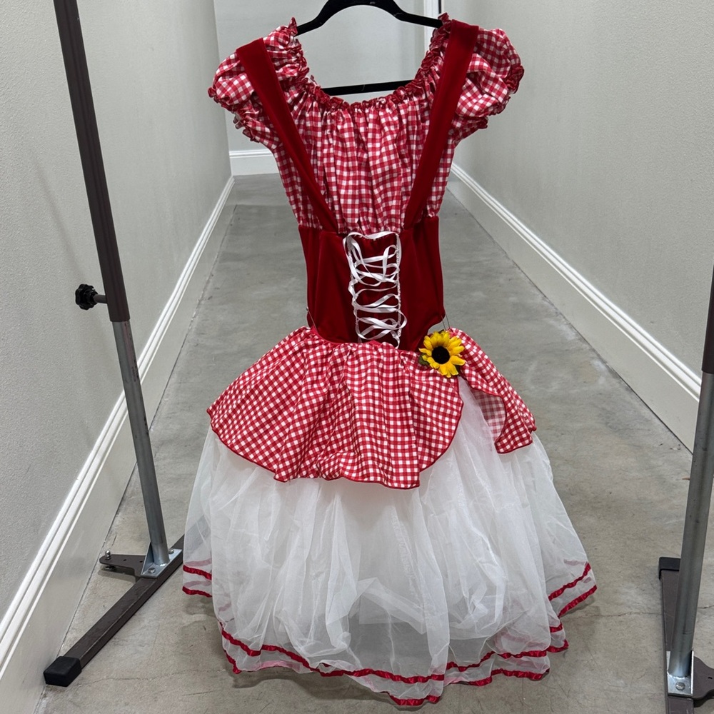 Red and White Gingham Kids Costume